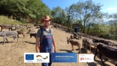 Zelena destinacija uz Održivi Razvoj na Farmi Magaraca: Mali Farmer sa Velikim Snovima
