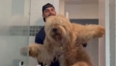 Urnebesni prizor: Pas se silno trudio spriječiti vlasnika da ga okupa